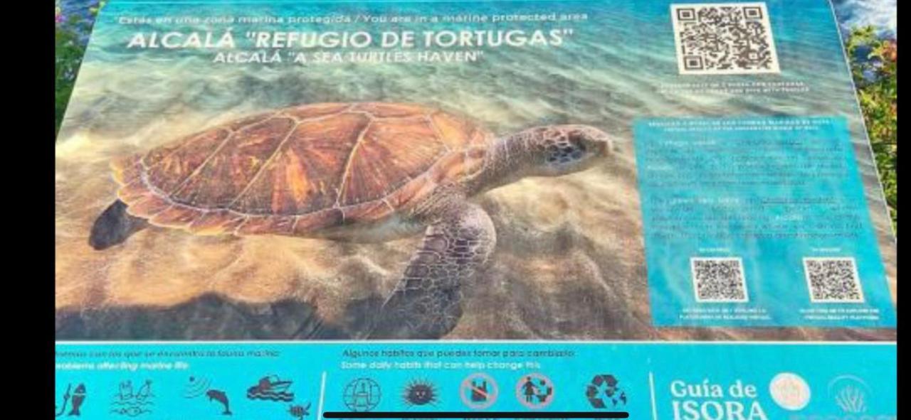 Alcala Center A 5 Minutos Del Paseo Y Playas Lejlighed Eksteriør billede
